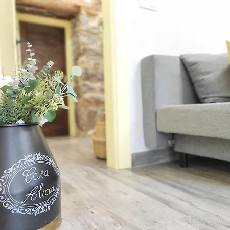 Casa Alicia 펜션 기욘