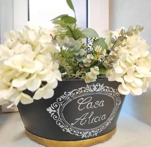 Casa Alicia